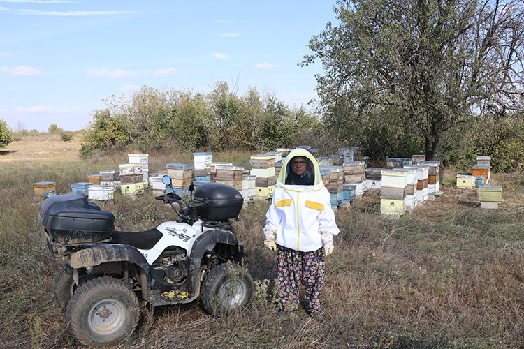 Edirne'de, Tarım ve Orman Bakanlığının başlattığı Genç Çiftçi Projesi desteğiyle arıcılık yapmaya başlayan Emine Aydın, ürettiği balı ve çoğalttığı arıları satarak aile ekonomisine katkıda bulunuyor.