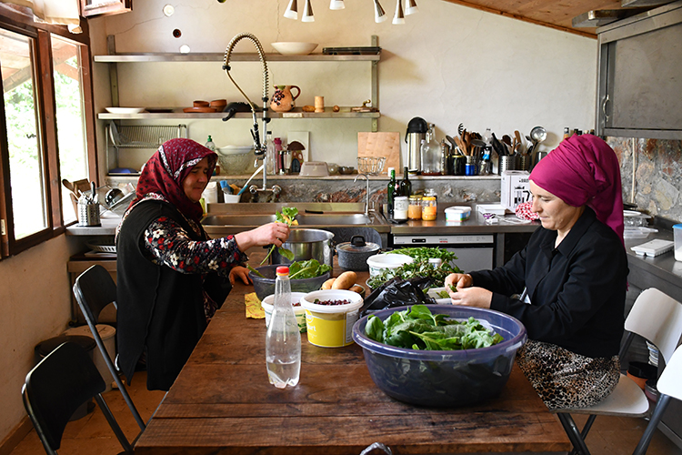 Bursa'daki "permakültür çiftliği" sürdürülebilir tarımı yaşatıyor
