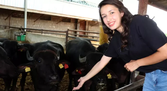 Kayseri'de Kadın Çiftçi Kredisiyle 10 Manda İle Başlayan Başarı Hikayesi