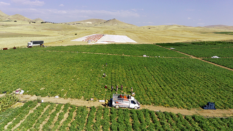 Elazığ'da Mevsimlik Tarım İşçilerinden Büyüleyici Türkiye Haritası