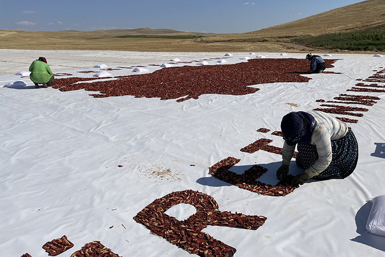 Elazığ'da Mevsimlik Tarım İşçilerinden Büyüleyici Türkiye Haritası