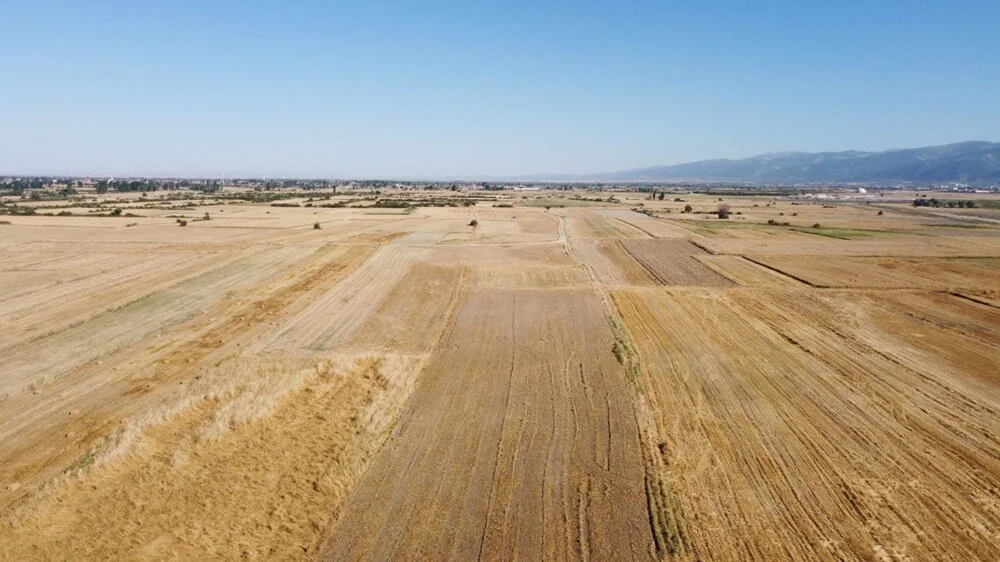 Göldeki Değişim: Akşehir Gölü'nde Tarımsal Üretim Yeniden Canlanıyor