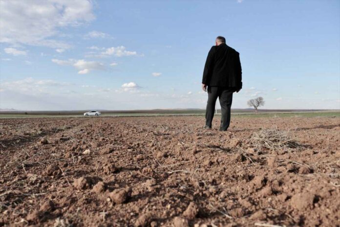 Konya Ovası'nda Susuzluk Tarımı Vuruyor: Çiftçiler Endişeli