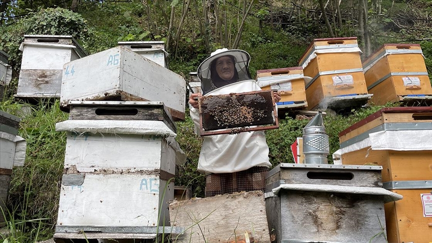 Arılarla Geçen 38 Yıl: Çakır Sarıkaya'nın Arıcılık Serüveni