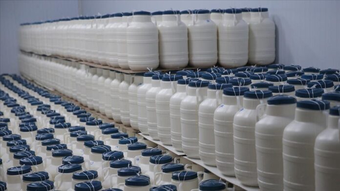 TİGEM, ihaleyle 65 bin 835 ton inek sütü satacak