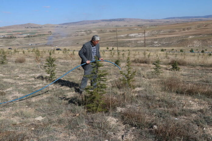 Yozgat'ta doğa gönüllüsü 23 yılda 25 hatıra ormanı oluşturdu