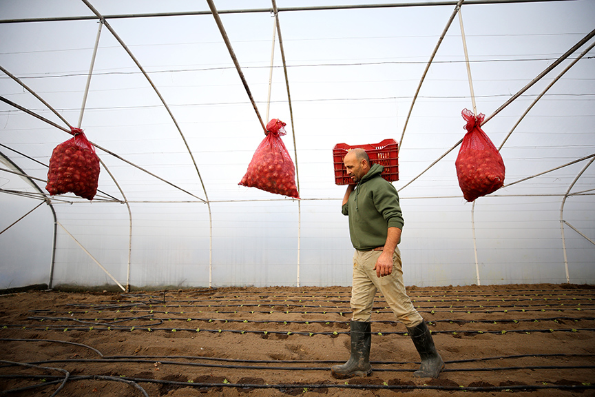 Kırklareli'nde atıl durumdaki 269 sera, naylon desteğiyle üretime kazandırıldı
