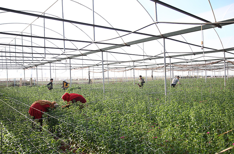 Antalya'da çiftçiler ATB'nin yazılımıyla tarım alanlarındaki karbon ayak izini hesaplıyor
